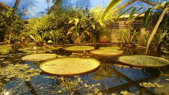 Væksthusene i Botanisk Have